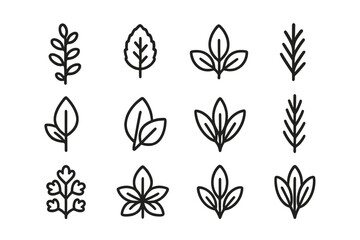 Twelve simple black line icons of various leaf shapes and botanical sprigs