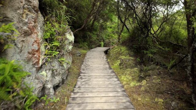 Wooden Steps In Geothermal Forest Path