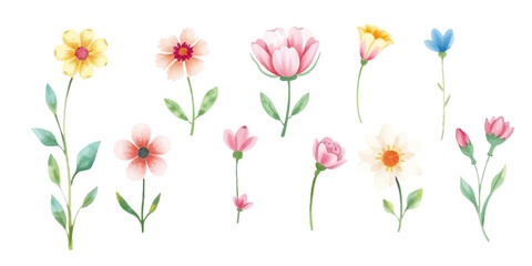 set of flowers, daisies, roses, summer wildflowers, in watercolor style, hand drawn texture, perfect for children's prints, stickers, patterns and greeting cards, isolated on white background.