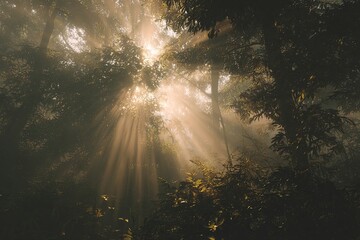 Sunrise peaking through thick morning mist in a dense forest, soft golden glow, ethereal beautiful light, photorealistic, cinematic, 8k,