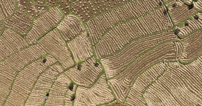 Aerial view of the textured agricultural land with varied patterns, creating a mosaic of earthy tones and linear designs, Naogaon, Rajshahi Division, Bangladesh.