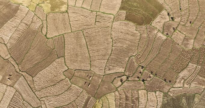Aerial view of neatly patterned agricultural land showing textures and tones, creating an abstract mosaic of cultivation, Naogaon, Rajshahi Division, Bangladesh.