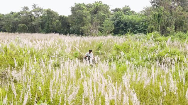 Man Plays The Guitar In A Field Of Kashful - Pullback