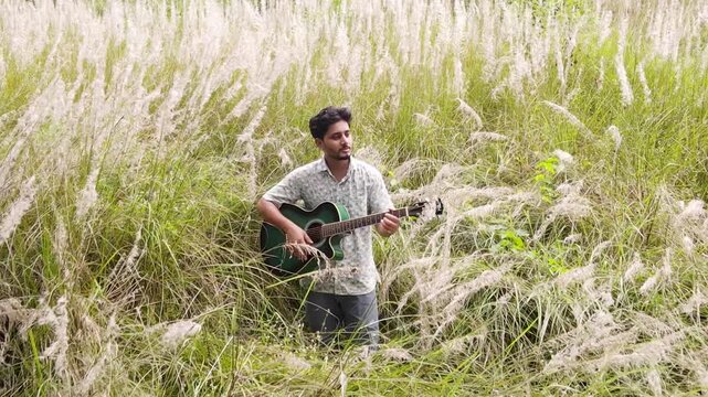 Musician With Guitar On Kans Grass Field In Bangladesh - Drone Shot