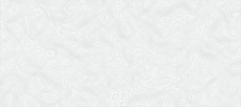 Grayscale Terrain Outline Detailed Abstract Topographic Map Pattern Featuring Fine Gray Contour Lines on Light Gray white Background.