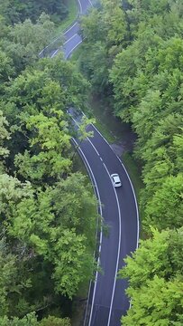 Aerial view following a white electric car driving through a green forest road in vertical 9:16 format