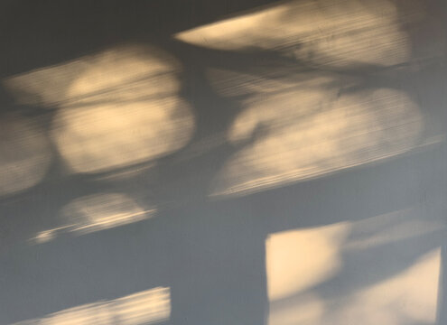Silent light and shadow overlays. Realistic window blinds and botanical leaf shadow effects