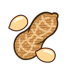 Cartoon peanut with clean outline shown in a simple minimal style. Cute nut illustration ideal for food packaging and branding. Vector peanut design suitable for healthy snack concepts.