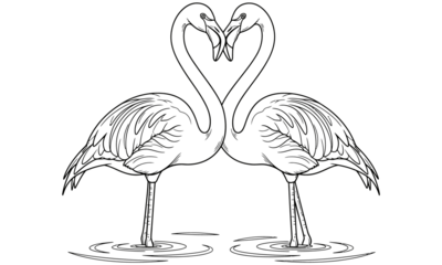 Flamingos forming a heart shape with their necks