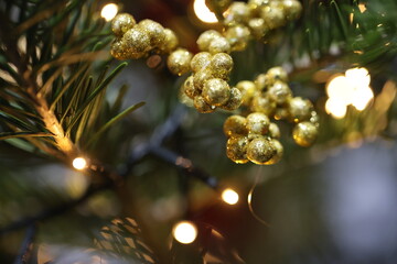 Christmas is the most beautiful holiday © Svetlana