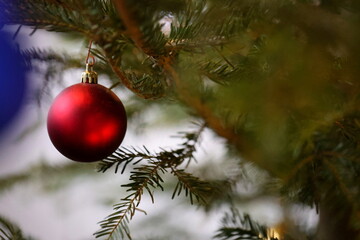 Christmas is the most beautiful holiday © Svetlana