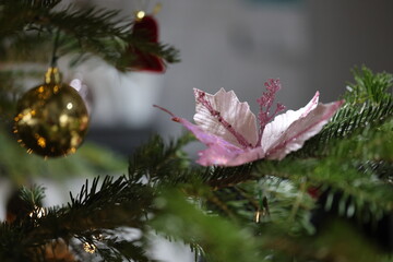 Christmas is the most beautiful holiday © Svetlana