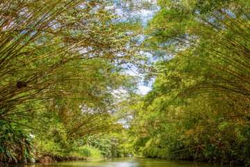 river boat tour in river rio Sierpe in Costarica