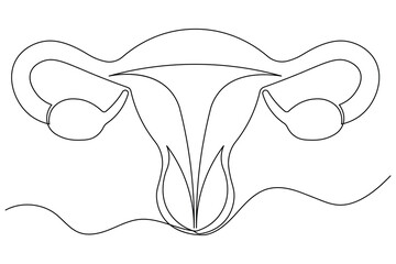 Minimalist style female uterus illustration continuous line drawing isolated
