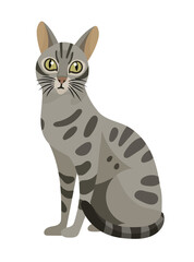 Fototapeta premium Egyptian Mau cat. Flat vector clipart illustration with isolated background.