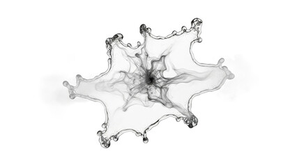 Abstract dark fluid splash with delicate droplets against a white background