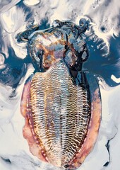  fresh squid ink on white background 