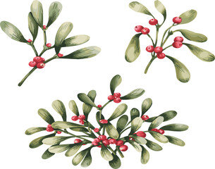 Watercolor style Christmas mistletoe branches with pale green leaves and bright red berries, traditional festive winter holiday foliage collection © Al