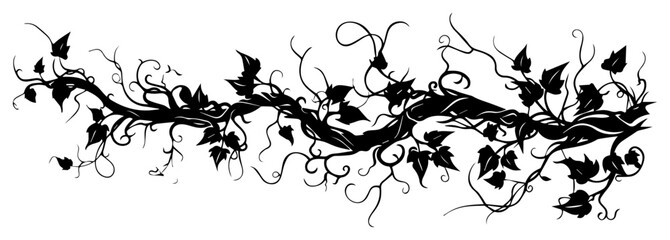 Twisted vine branch silhouette vector illustration with ivy leaves and decorative swirls for floral border or divider © Tomas