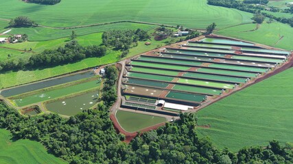 aerial view of a farm