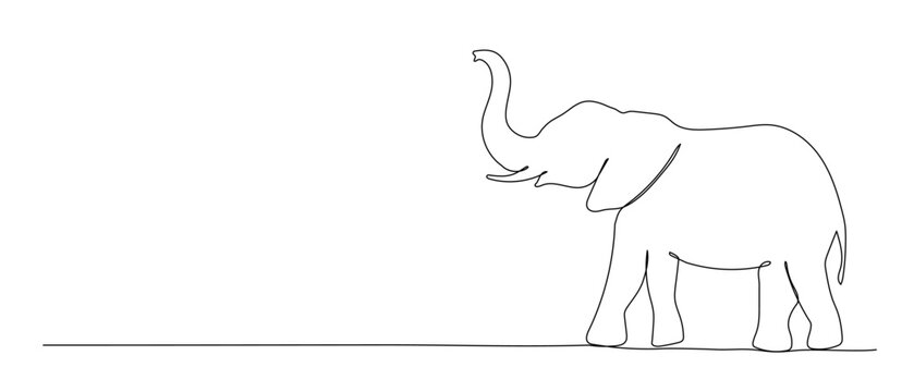 Elephant continuous line illustration. Hand drawn doodle vector sketch isolated on white background.