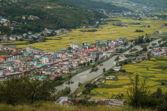 View of a river snaking through a valley of golden rice paddies and clustered buildings under the watchful gaze of misty mountains, Paro, Bhutan.