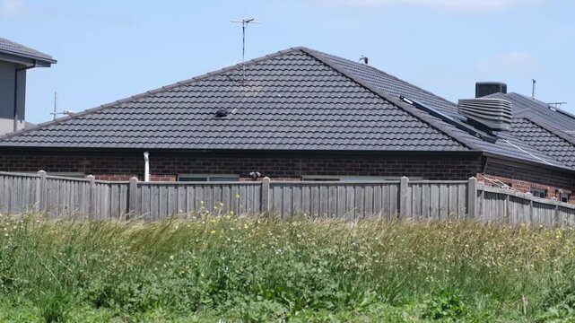 suburban residential houses behind a vacant grassy lot overgrown with wild weeds in Australia. Concept of undeveloped land, urban fringe space, neglected vegetation, suburban sprawl, and unused plot.