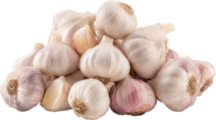 Garlic bulb culinary herb organic fresh raw white purple pile closeup natural