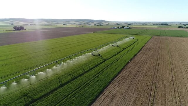 Aerial view of a center pivot irrigation system watering a lush green field on a sunny day in rural landscape