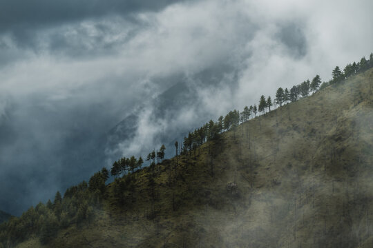 View of mist-shrouded slopes rise into a dramatic, cloudy sky, trees clinging to the steep incline, creating a serene yet powerful landscape, Paro, Bhutan.
