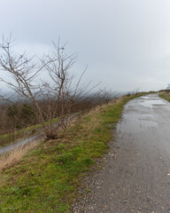 Scenic wet road on a cloudy day with distant mountains and bare trees near a nature trail