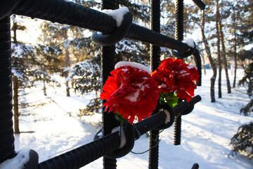 Red Carnations Resting on a Snowy, Icy Black Metal Barrier in a Winter Park