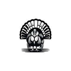 Black and white turkey with fanned tail feathers bird
