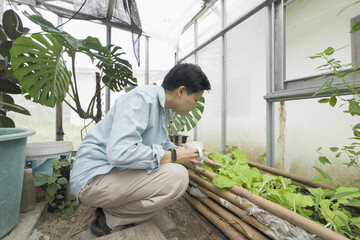 Man enjoying a quiet moment and coffee break inside an urban greenhouse focusing on the connection between sustainable living and wellness natural light and lush greenery indoor garden.