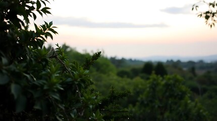 A photorealistic depiction of a serene natural landscape, emphasizing the rich textures of foliage and the subtle gradations of color in the sky. Shallow depth of field blurs the background