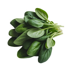Obraz premium Fresh bunch of spinach leaves isolated on transparent background