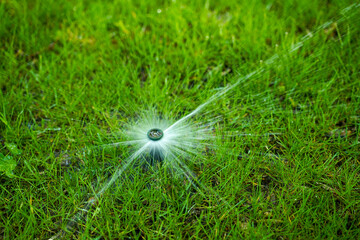 Close-up of a pop-up lawn sprinkler spraying water in a starburst pattern onto dense, vibrant green grass.