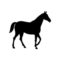 Obraz premium Silhouette of a rearing horse standing on its hind legs
