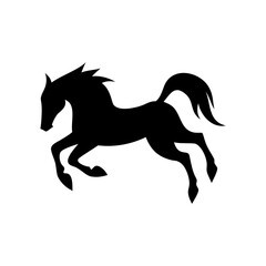 Silhouette of a rearing horse standing on its hind legs