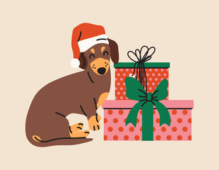 Christmas Dachshund wearing hat and sitting with Gifts. Santa Dachshund and presents flat illustration. Cute cartoon sausage dog.