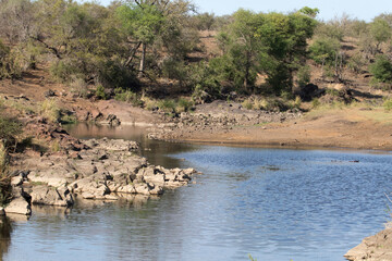 Sweni hide in early spring with quite high water level for that time of the year