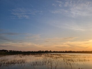 Obraz premium Serene Marsh: a mesmerizing view of the horizon where the sky and water converge, reflecting the tranquil and vast scenery.