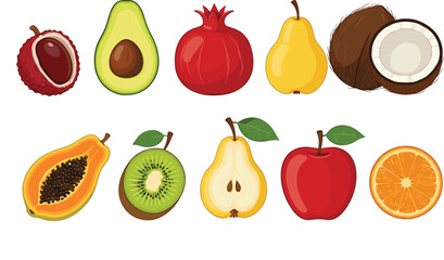 A colorful vector collection of diverse exotic and tropical fruits, including lychee, avocado, pomegranate, pear, coconut, kiwi, papaya, and slices of orange and apple