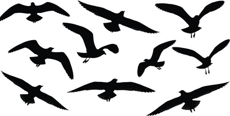 Set of Flying Seagull Silhouettes in Various Dynamic Poses, Black and White Vector Illustration for Ocean Theme Design, Nautical Background, and Nature Graphic Elements.