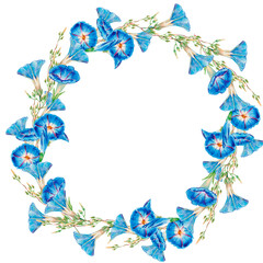 Watercolor hand drawn floral square frame with light blue morning glory, floral wreath with copy space isolated on white. Ipomoea flower for greeting card, wedding invitation, natural-themed designs