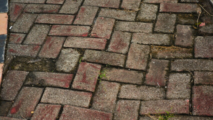 Worn Brick Pavement Texture with Dirt and Moss
