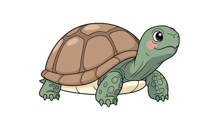 vector illustration of a turtle