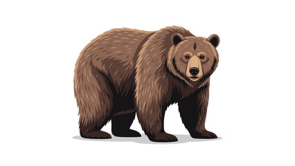 Obraz premium brown bear isolated on white