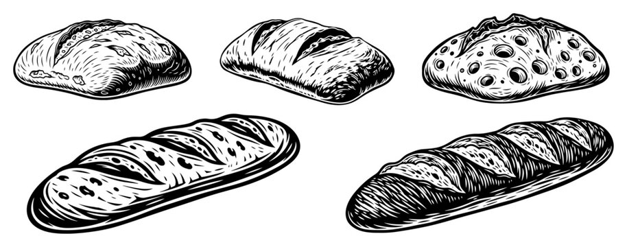 Set of hand drawn bakery bread loaves including baguette and sourdough woodcut style vector sketches