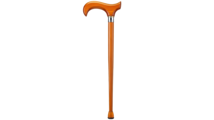 Isolated walking stick with curved handle for elderly or infirm people, wooden, polished